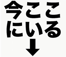 44377002