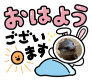 443803408