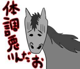 443840235