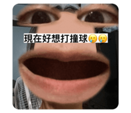 443862906