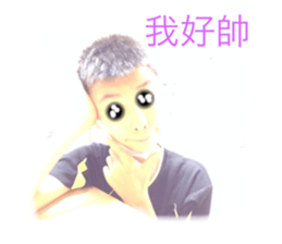 443864579
