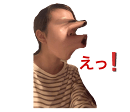443873648