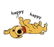 44392007
