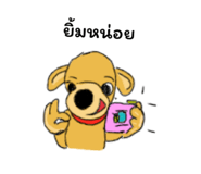 44392025