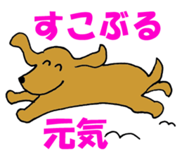 4439337