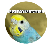 443973785