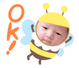 443980684