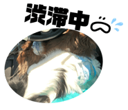 443985045