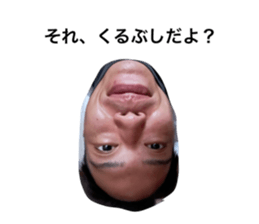 443986336