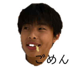 444003005