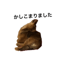 444004929