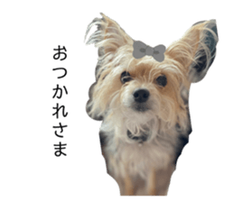 444013599