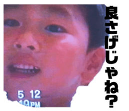 444071017