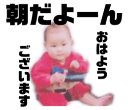 444071026
