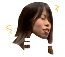 444088084