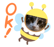 444121795