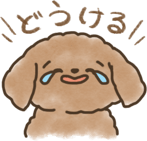 444151233