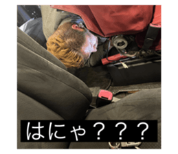444225227