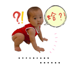 444225464