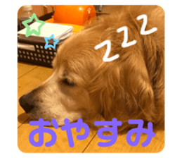 444239014