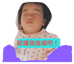 44426423