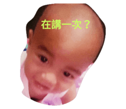 44426428