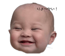 444281431