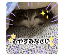 444311760