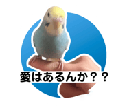 444337307