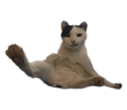 444338024