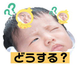 444342010