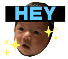 444342024