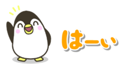 444343238