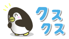 444343262