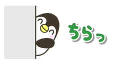 444343263