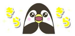 444343272