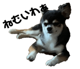 444344667