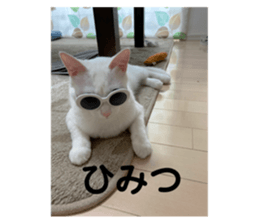 444366625