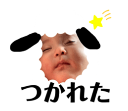 444371027