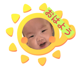 444388206