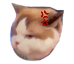 444391393