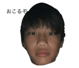 444395680