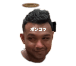 444399763