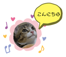 444448783