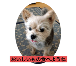 444500438
