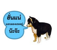 444523943