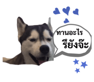 444523946