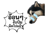 444523947
