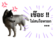 444523949