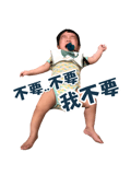 44453997